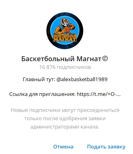 Баскетбольный Магнат отзывы