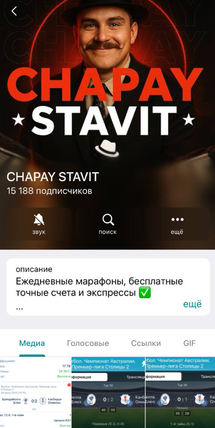 CHAPAY STAVIT телеграмм