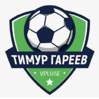 тимур гареев