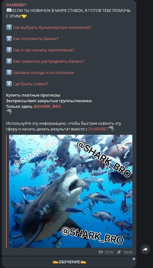 sharkbet телеграмм