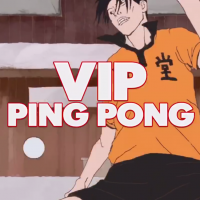 Vip Ping Pong