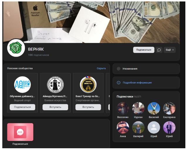 Вид паблика Вид паблика