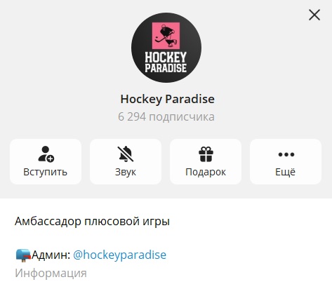 Hockey Paradise отзывы