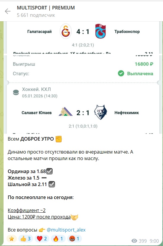 MULTISPORT | PREMIUM телеграмм канал