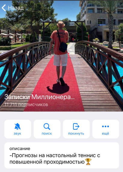 аналитик Записки Миллионера