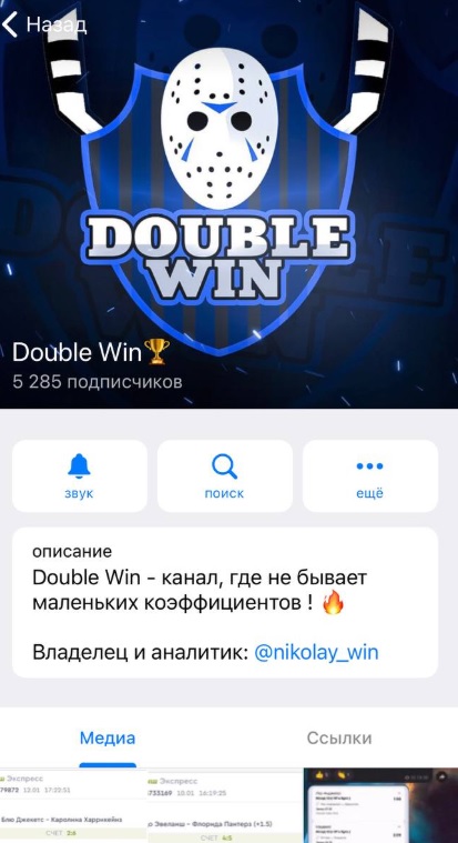 Double Win каппер отзывы