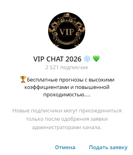 VB VIP CHAT 2025 отзывы