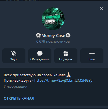отзывы ⚽️Money Case⚽️