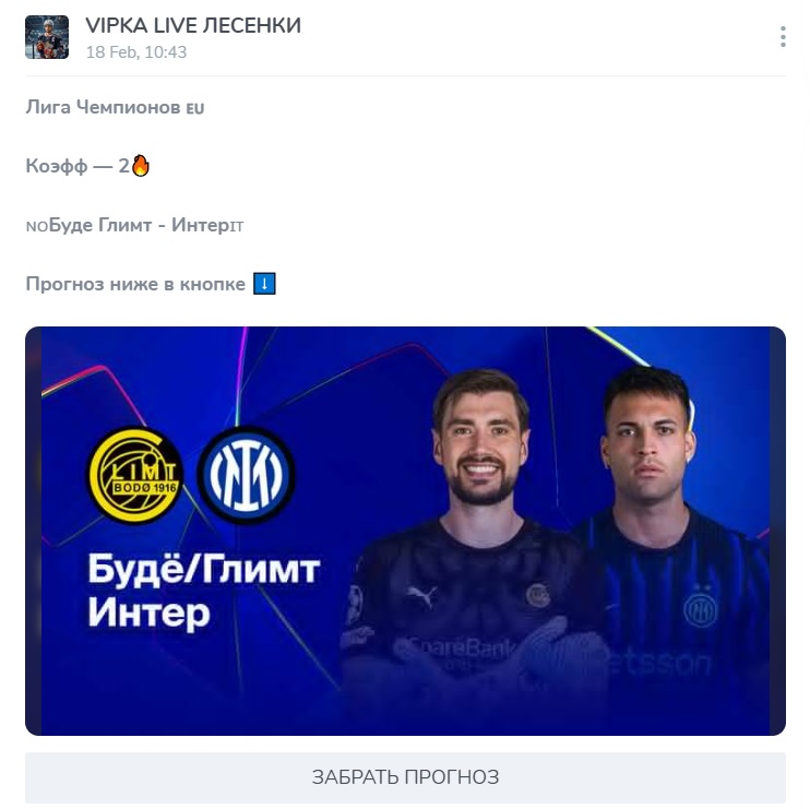 VIPKA LIVE ЛЕСЕНКИ каппер