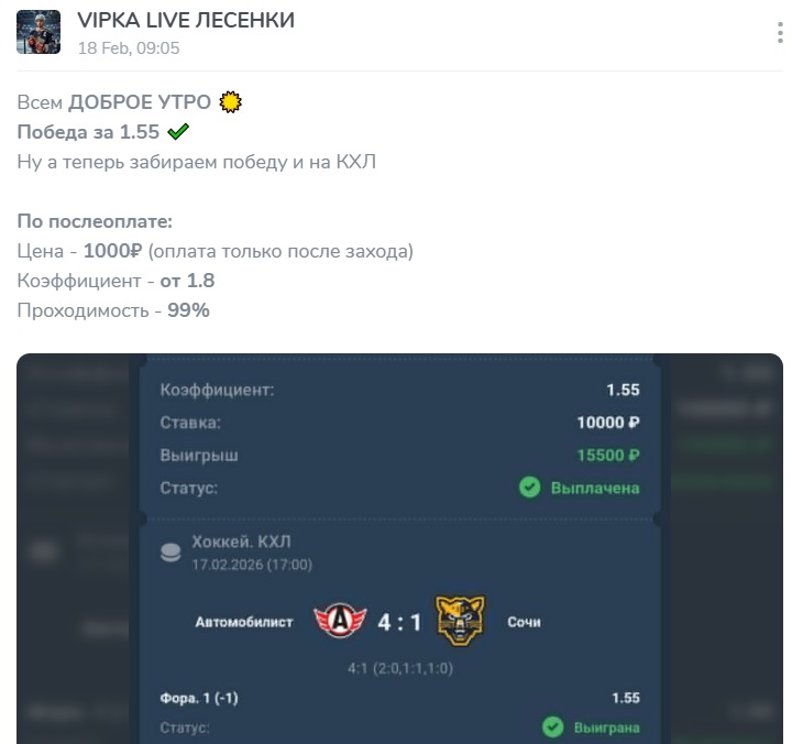 VIPKA LIVE ЛЕСЕНКИ телеграмм канал