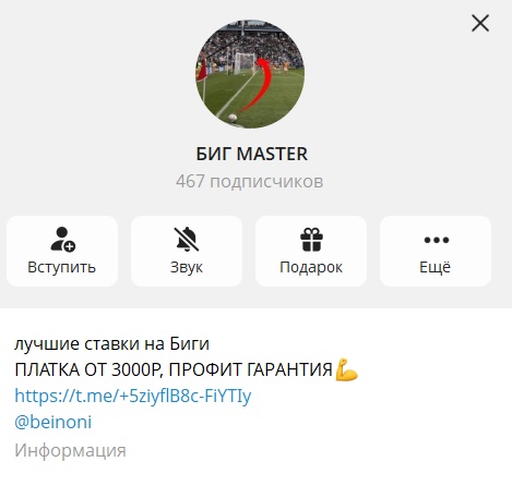 БИГ MASTER отзывы
