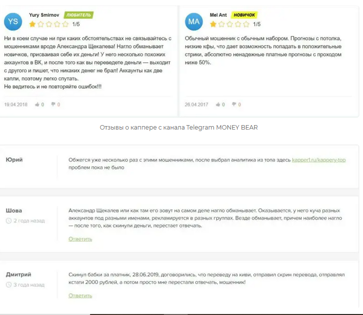 Другие отзывы о проекте Money Bear