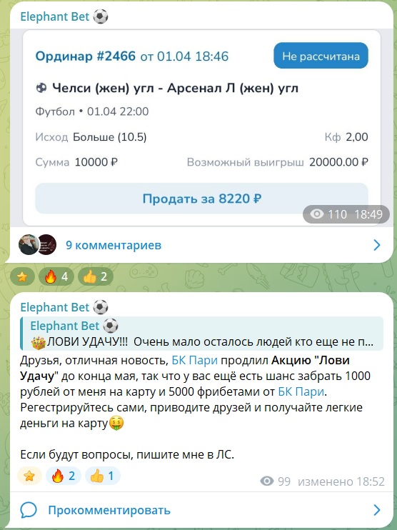 Elephant Bet каппер