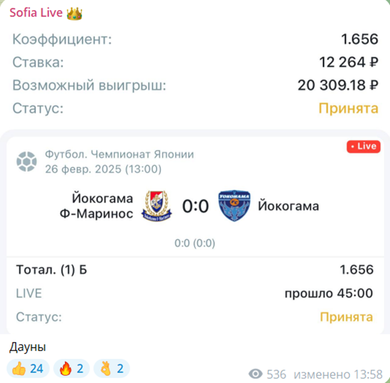 Sofia Live Sofia Live