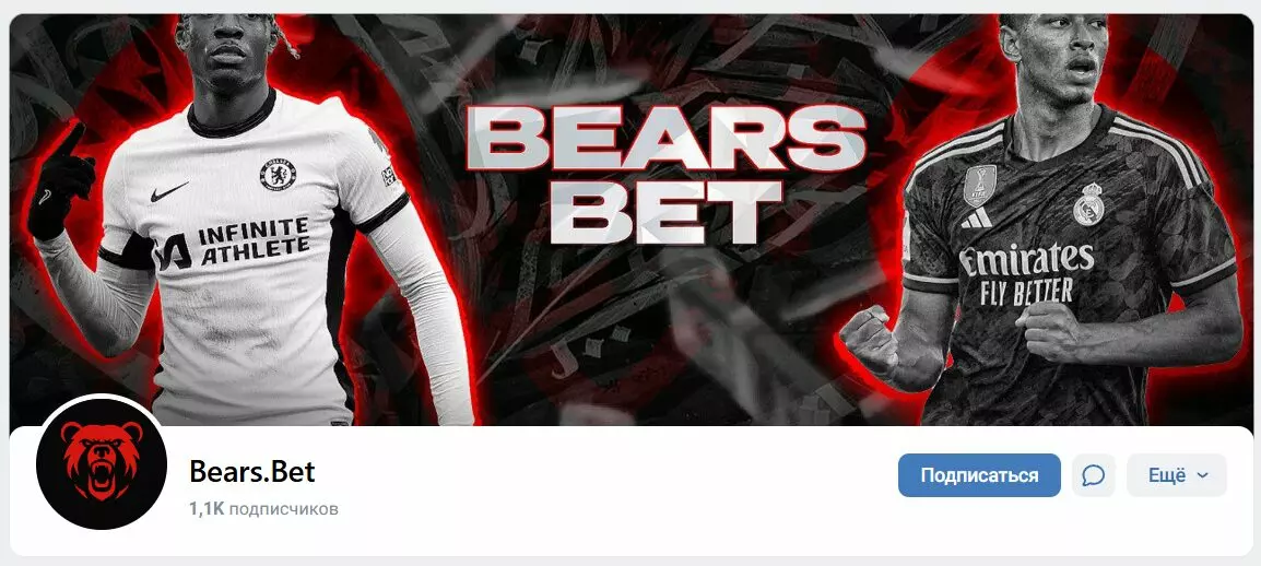 Bears.Bet